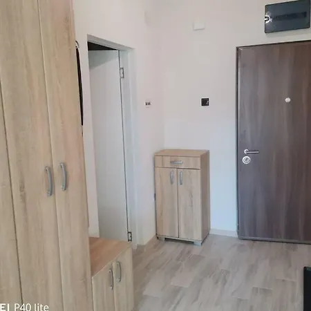Apartment Rajic Golubac Exterior photo